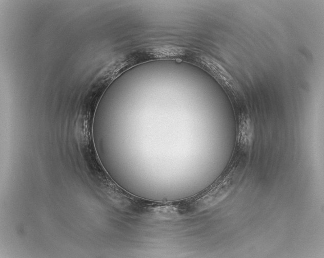 X0000116020426200911201238