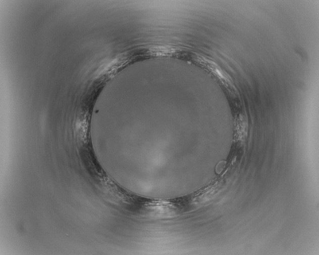 X0000116020427200911201238