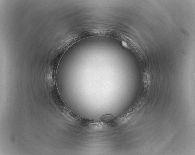 X0000116020428200911201238