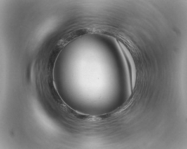 X0000116020429200911201238