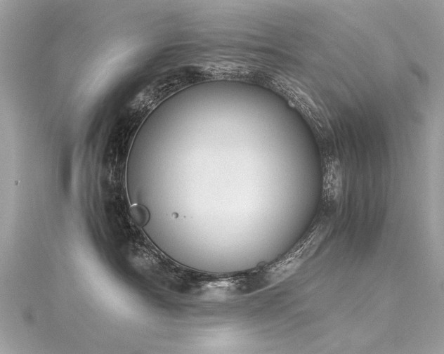 X0000116020430200911201238