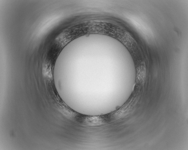 X0000116020431200911201238