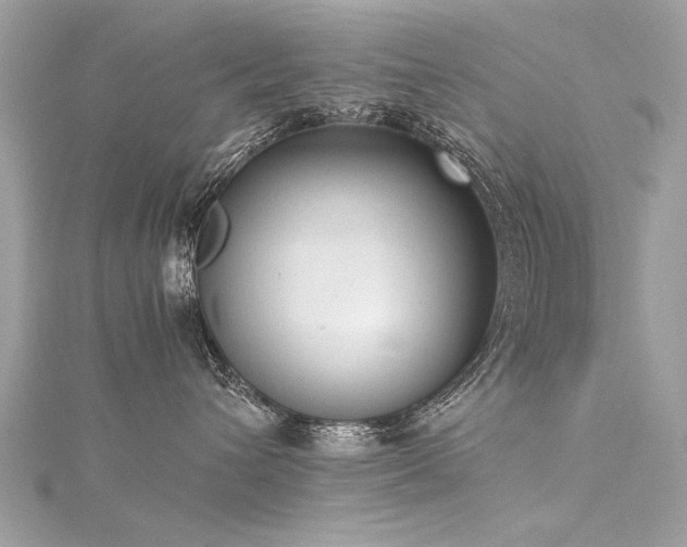 X0000116020432200911201238