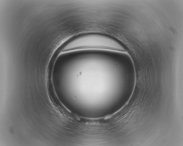 X0000116020440200911201238