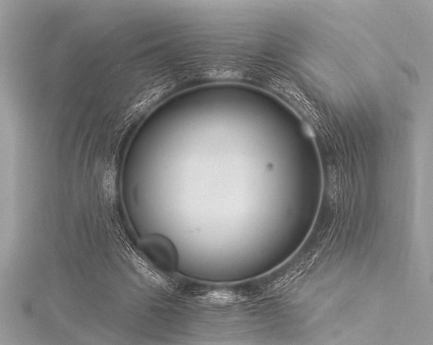 X0000116020441200911201238