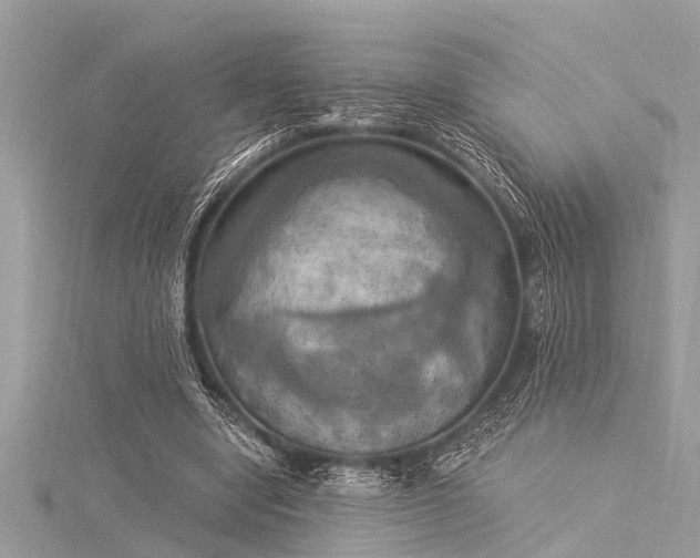 X0000116020442200911201238