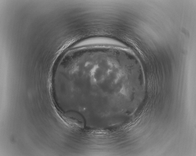 X0000116020443200911201238