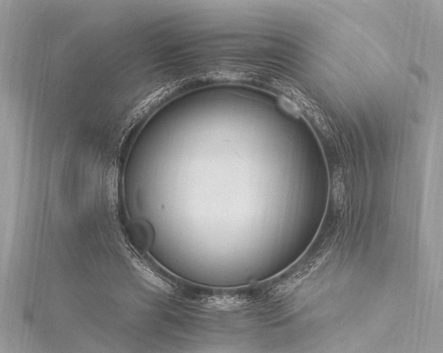 X0000116020445200911201238