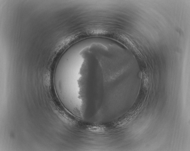 X0000116020447200911201238