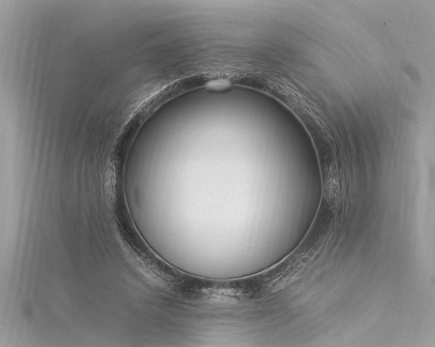 X0000116020448200911201238