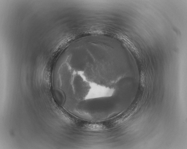 X0000116020449200911201238