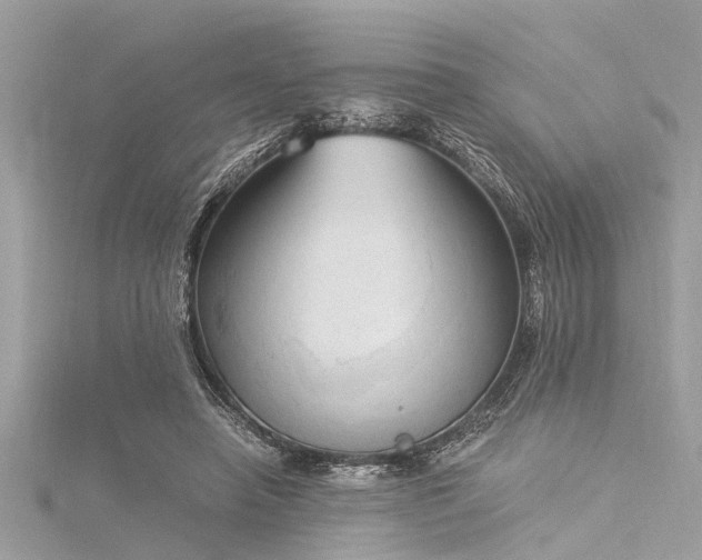 X0000116020450200911201238