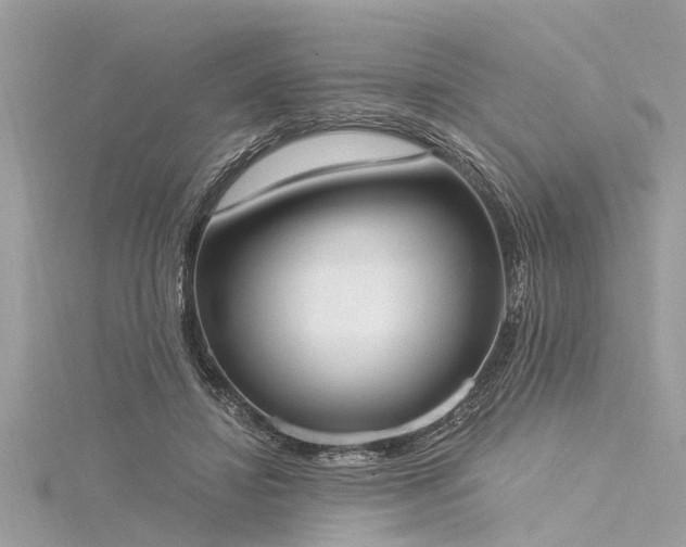 X0000116020452200911201238