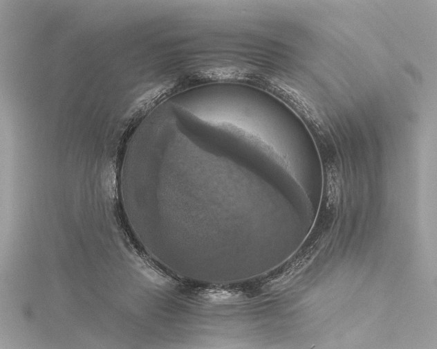 X0000116020453200911201238