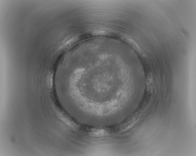 X0000116020454200911201238