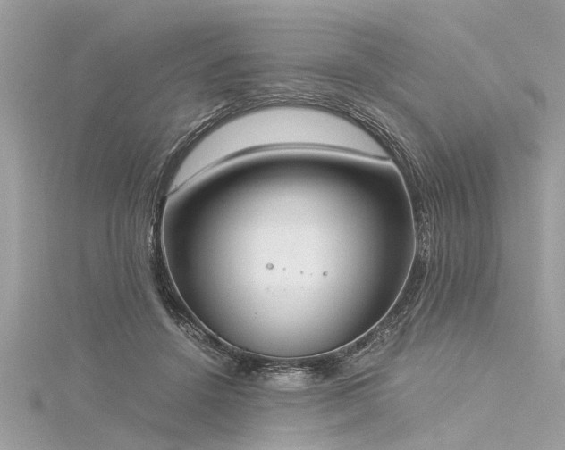 X0000116020456200911201238