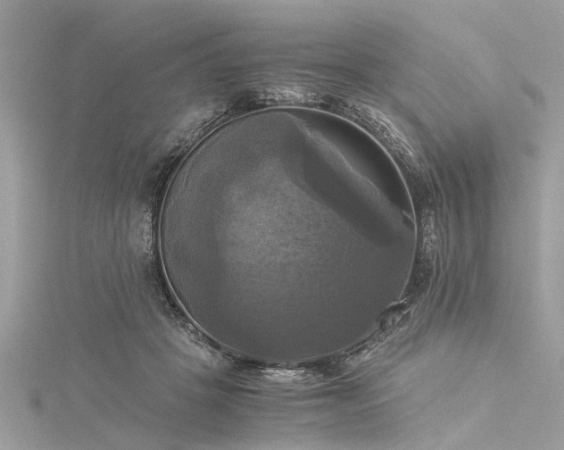 X0000116020457200911201238