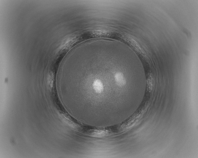 X0000116020458200911201238