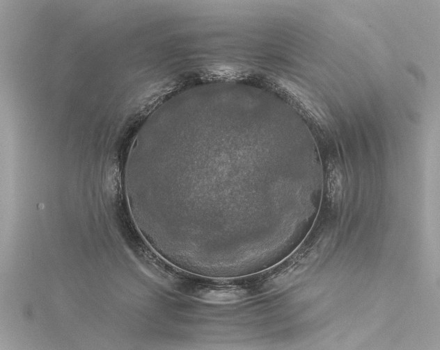 X0000116020459200911201238