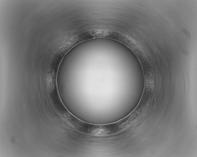 X0000116020460200911201238