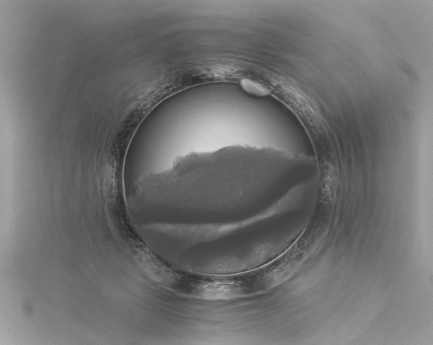 X0000116020461200911201238