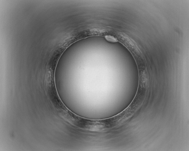 X0000116020463200911201238