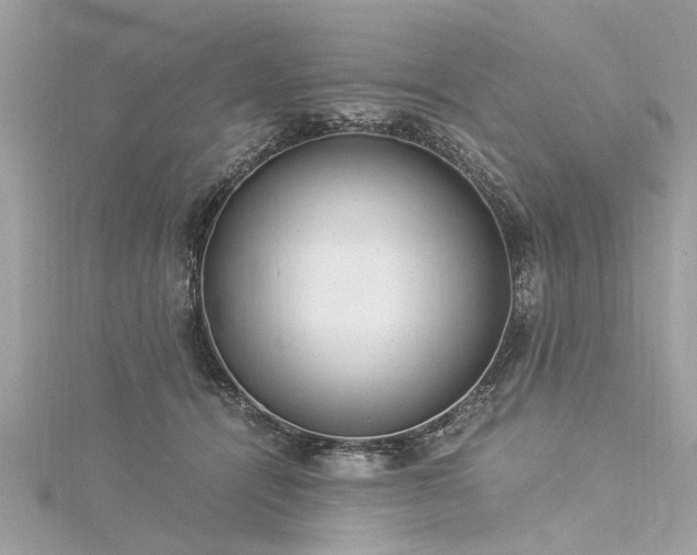 X0000116020464200911201238