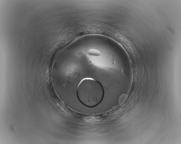 X0000116020465200911201238