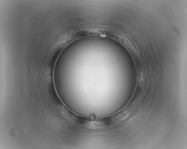 X0000116020466200911201238