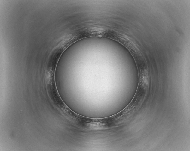 X0000116020468200911201238