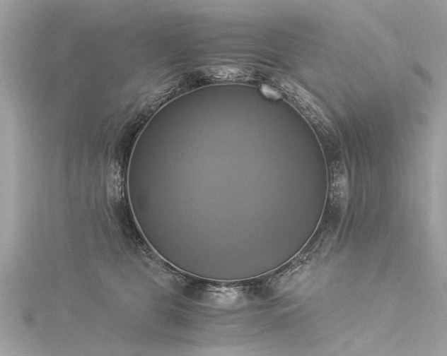 X0000116020469200911201238