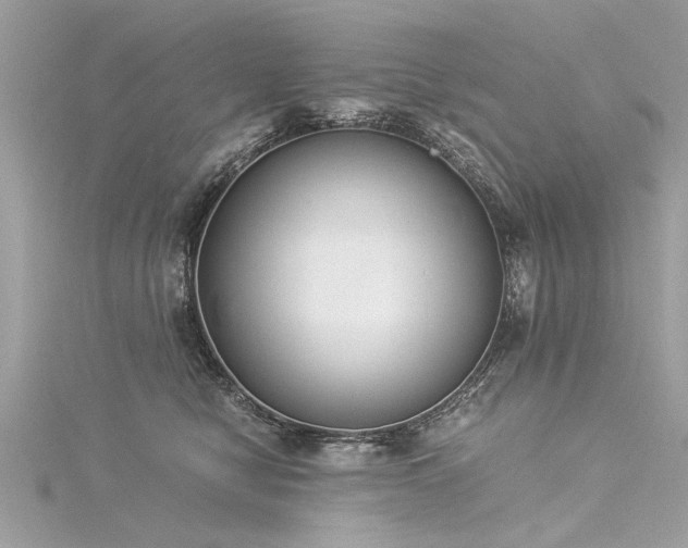 X0000116020470200911201238