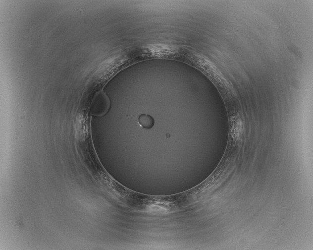 X0000116020471200911201238