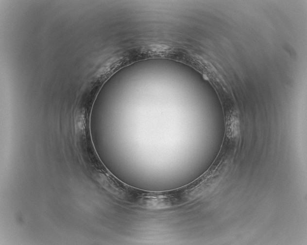 X0000116020472200911201238