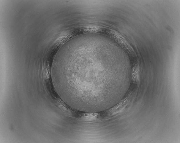 X0000116020474200911201238