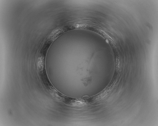 X0000116020475200911201238