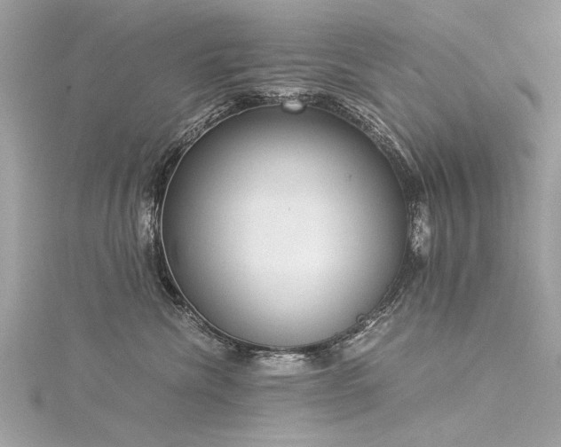 X0000116020476200911201238