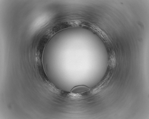 X0000116020477200911201238