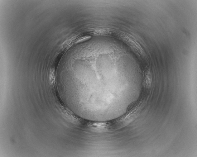 X0000116020478200911201238