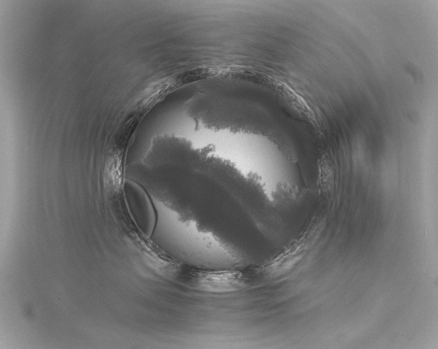 X0000116020479200911201238