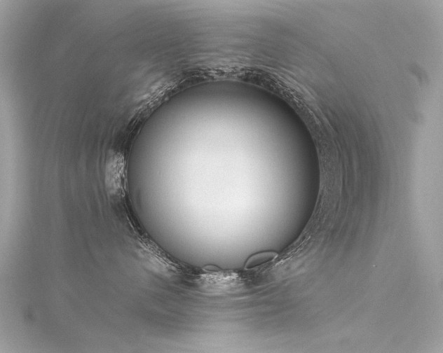 X0000116020480200911201238