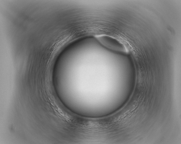 X0000116020481200911201237