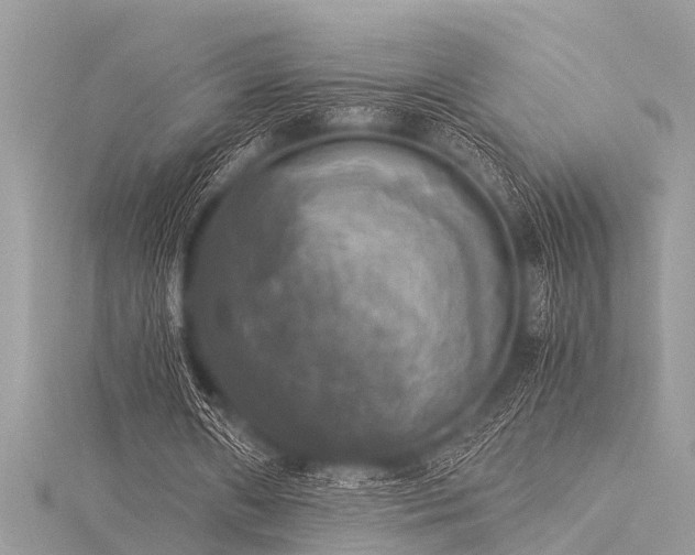 X0000116020482200911201237