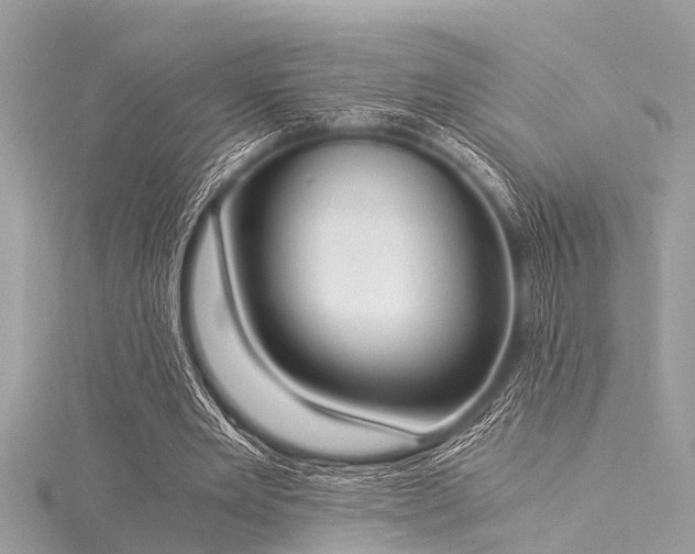 X0000116020485200911201237