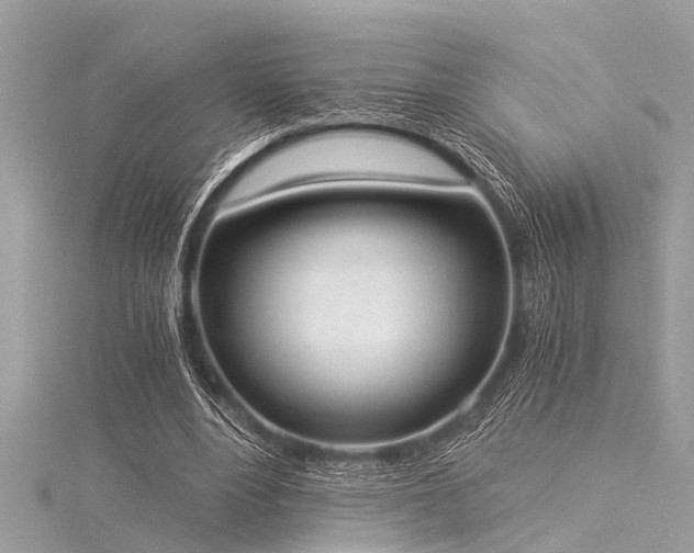 X0000116020488200911201237