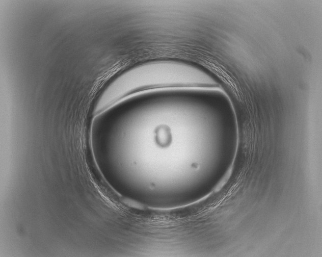 X0000116020489200911201237