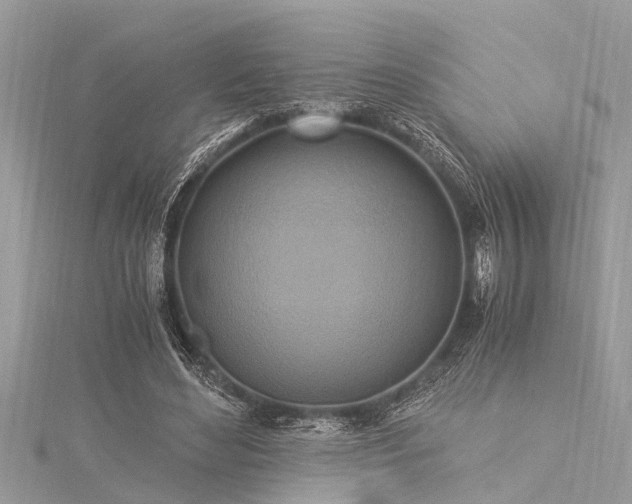 X0000116020492200911201237