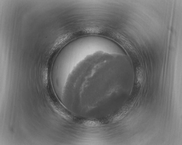 X0000116020494200911201237