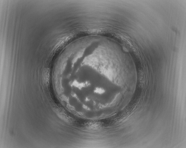 X0000116020495200911201237