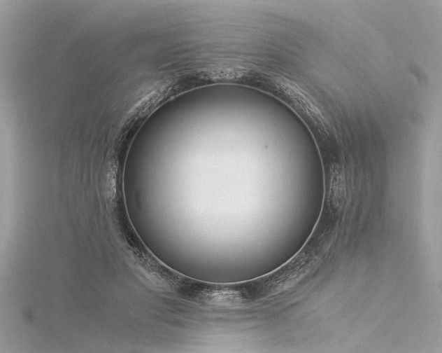 X0000116020501200911201237